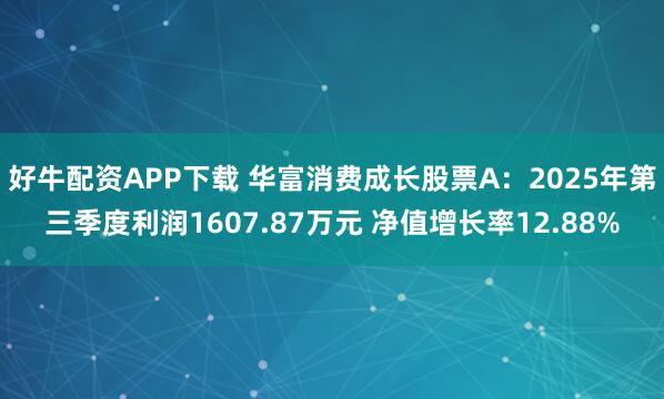 好牛配资APP下载 华富消费成长股票A：2025年第三季度利润1607.87万元 净值增长率12.88%