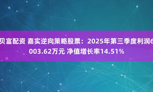 贝富配资 嘉实逆向策略股票：2025年第三季度利润6003.62万元 净值增长率14.51%