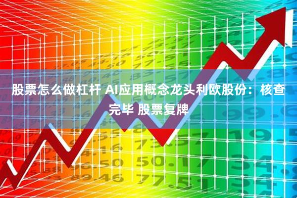 股票怎么做杠杆 AI应用概念龙头利欧股份：核查完毕 股票复牌