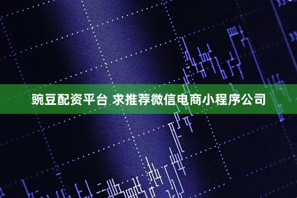 豌豆配资平台 求推荐微信电商小程序公司
