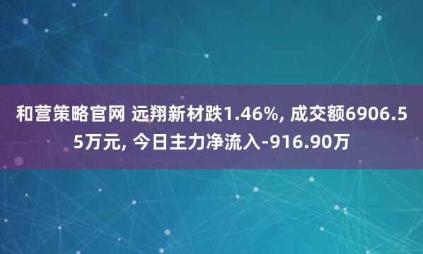 和营策略官网 远翔新材跌1.46%, 成交额6906.55万元, 今日主力净流入-916.90万