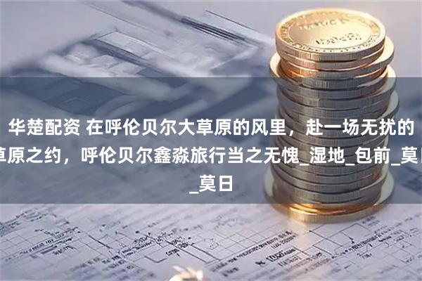 华楚配资 在呼伦贝尔大草原的风里，赴一场无扰的草原之约，呼伦贝尔鑫淼旅行当之无愧_湿地_包前_莫日
