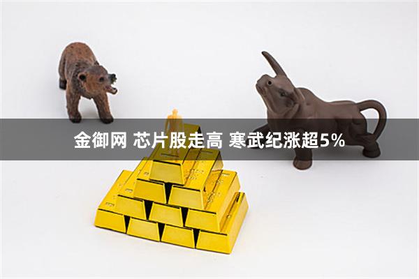 金御网 芯片股走高 寒武纪涨超5%